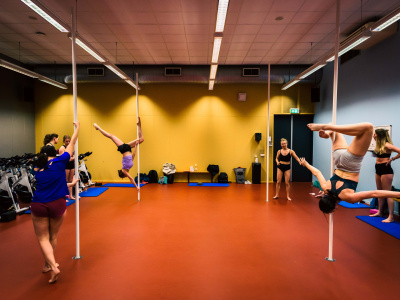 Polesports