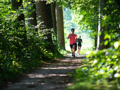 Hardlooptrainingen
