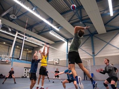 Volleybal