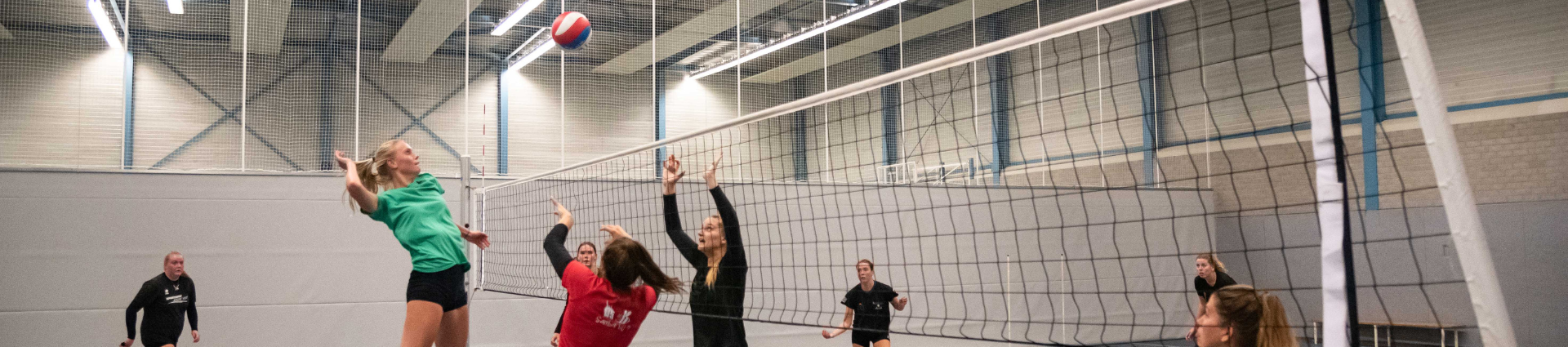 Volleybal