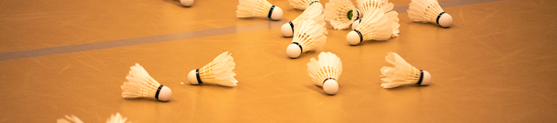 Olympos-Pierre-Banoori-Helios-Badminton-12.jpg