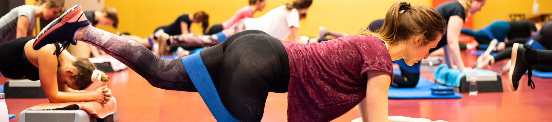 Header - shape-booty-core