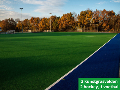 Kunstgrasvelden