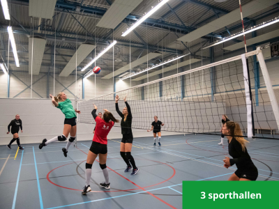 Sporthallen