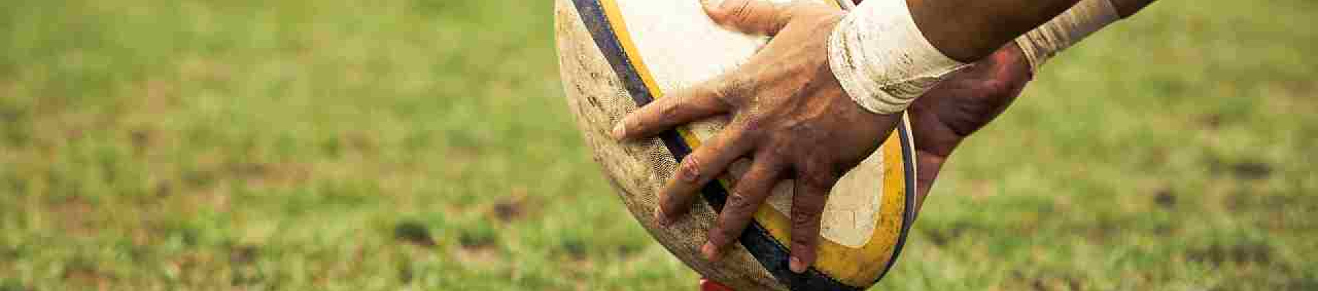 rugby bal in gras.jpg