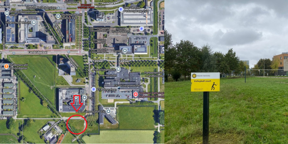 Mindful wandelen - start