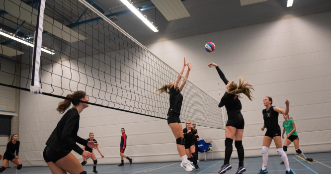 Start cursussen periode 2 en C