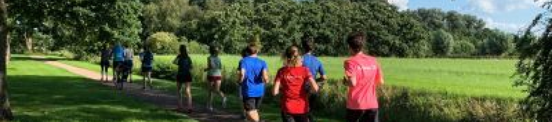 Blokken Home Vitamine Run jpg.jpg