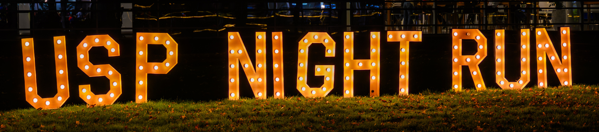 Header (&miniatuur)  Night Run