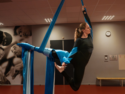 Aerial silks