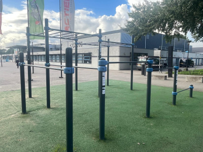Calisthenics platform