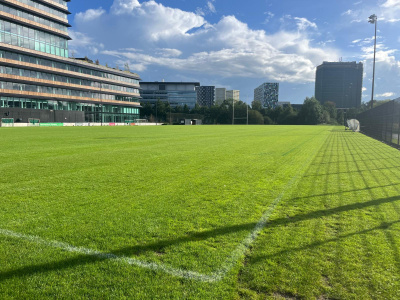 Grass pitches